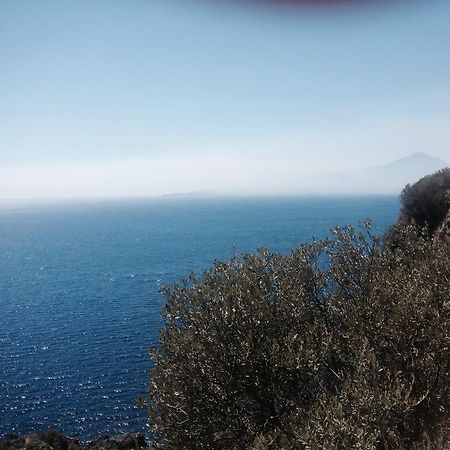 La Bouganville Sapri Εξωτερικό φωτογραφία