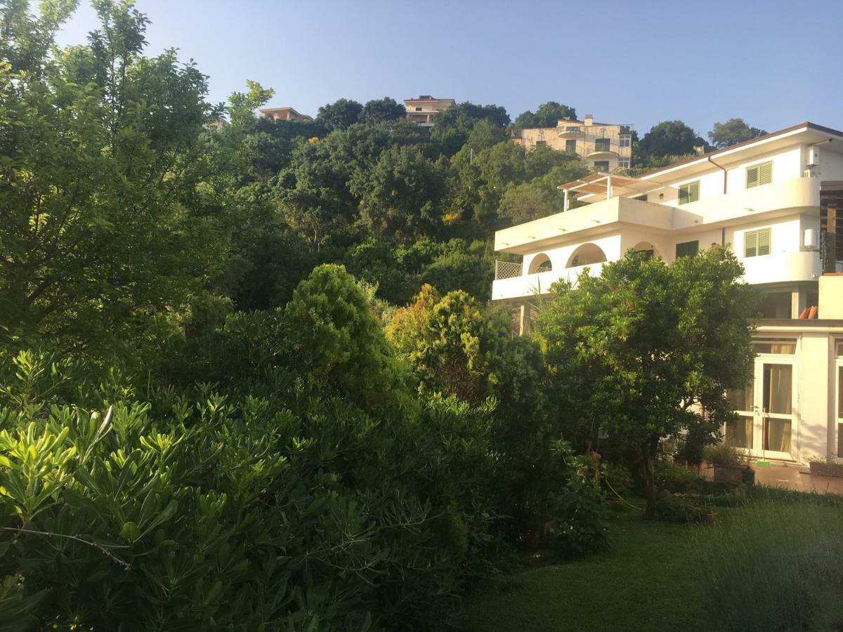 La Bouganville Sapri Εξωτερικό φωτογραφία