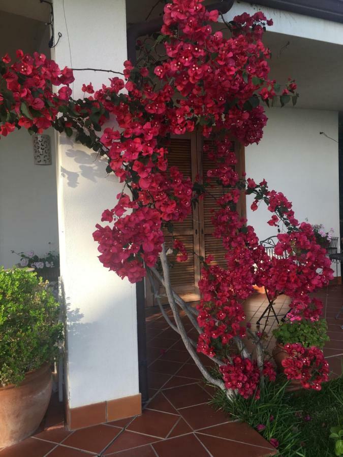 La Bouganville Sapri Εξωτερικό φωτογραφία
